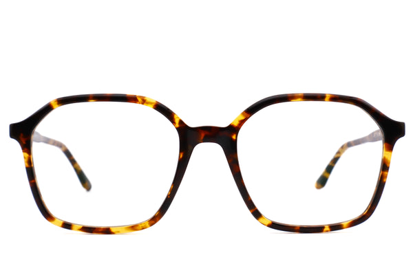 LT12 ALMA col. Yellow Tortoise